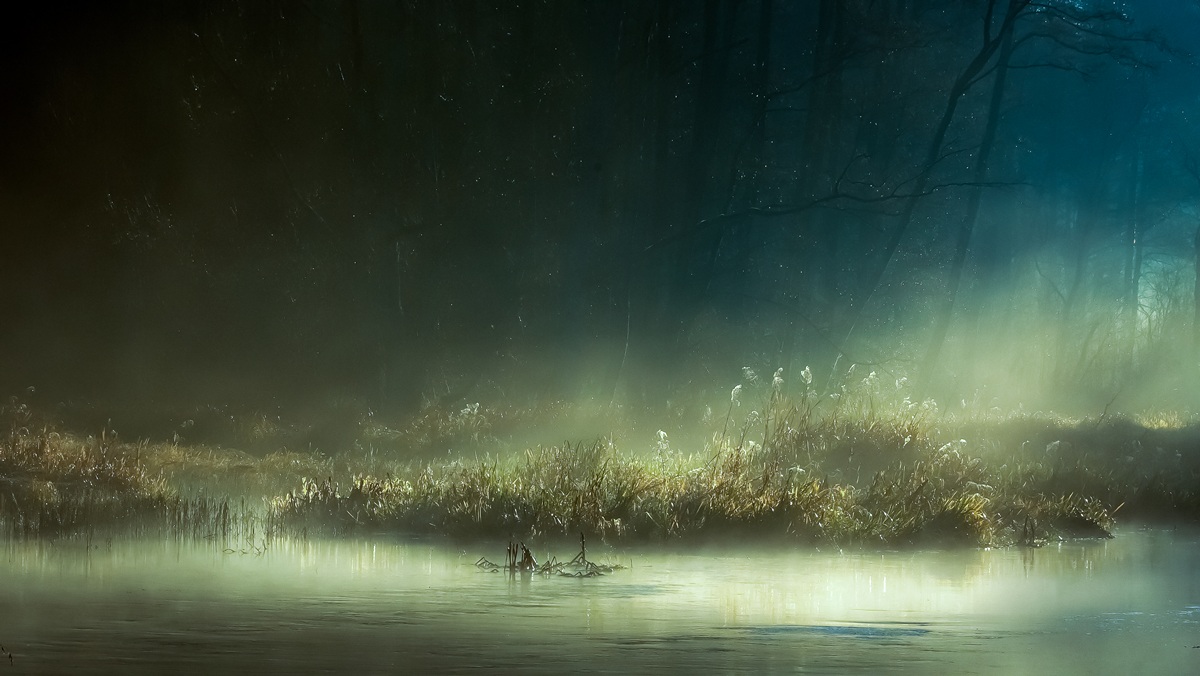 Świtem nad Głomią (Fot. Jaroslaw Ramucki)