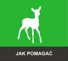 Jak pomagać, żeby nie zaszkodzić