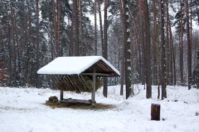 Paśnik