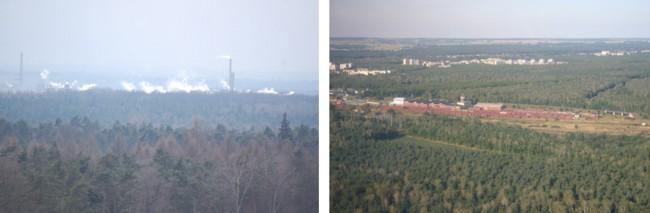 Lasy Nadleśnictwa w otoczeniu miasta i przemysłu