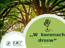 #4 Podcast "W koronach drzew"