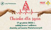 Choinka dla życia: podaruj krew, odbierz świąteczne drzewko