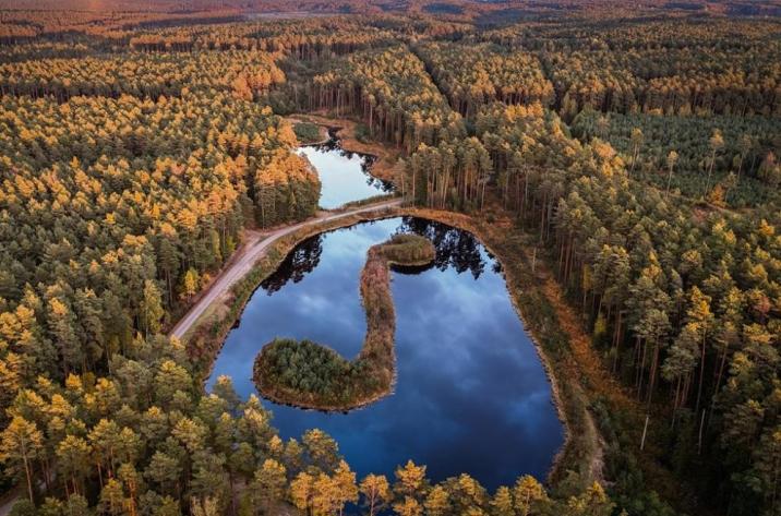 Biłgorajska nuta (Fot. Wojciech Młynarski)