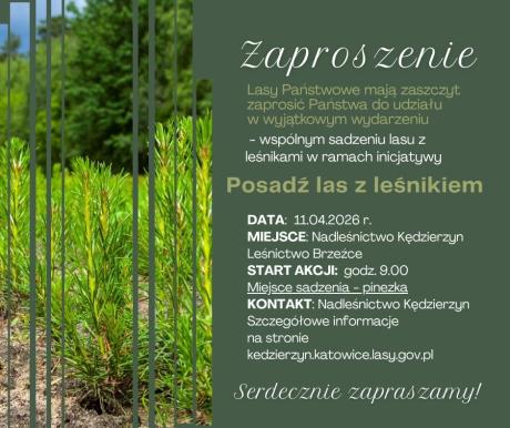 POSADŹ LAS Z LEŚNIKIEM NADLEŚNICTWO KĘDZIERZYN